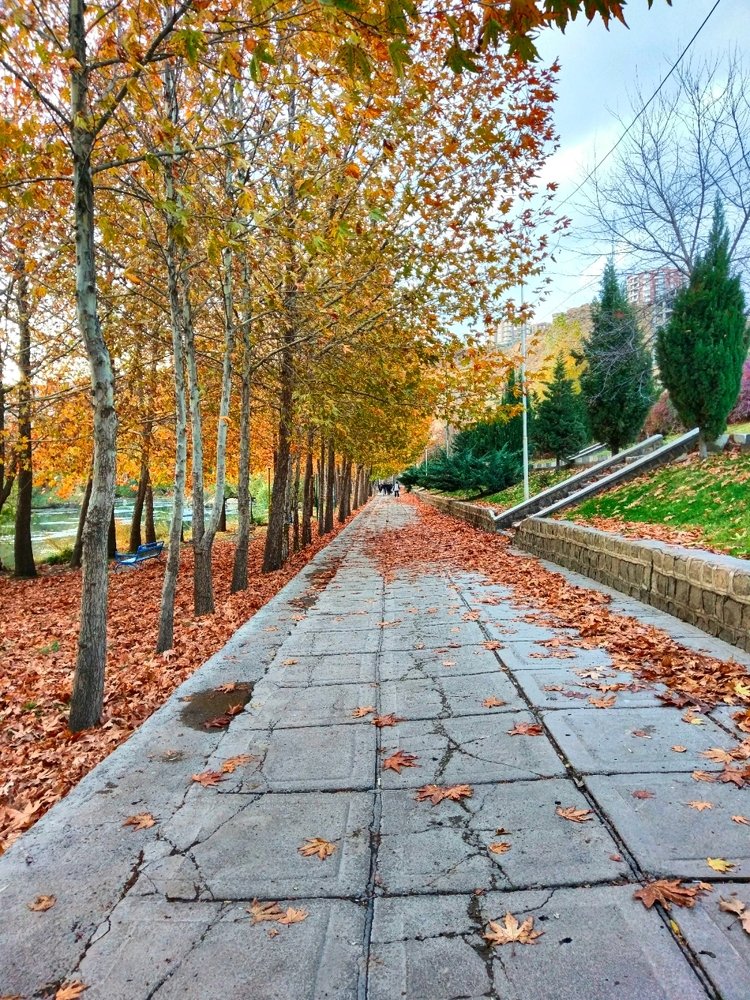 Photograph by Kian Reyhani