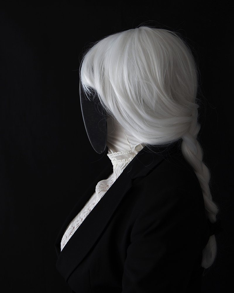 Alternate Identitie series