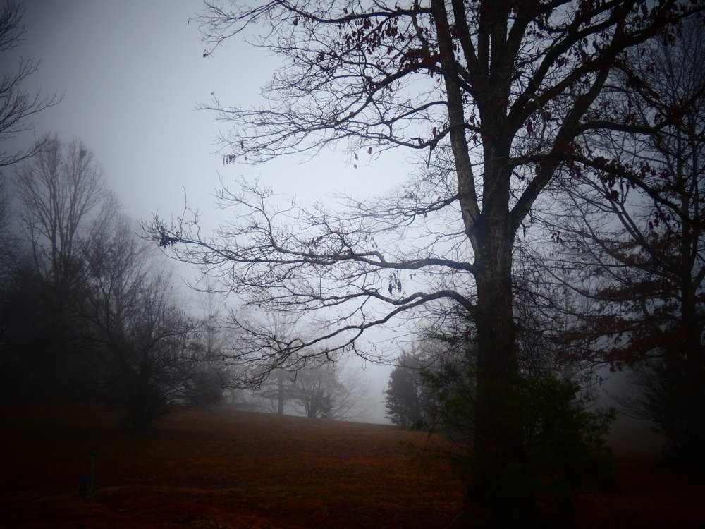 Ранее утро.