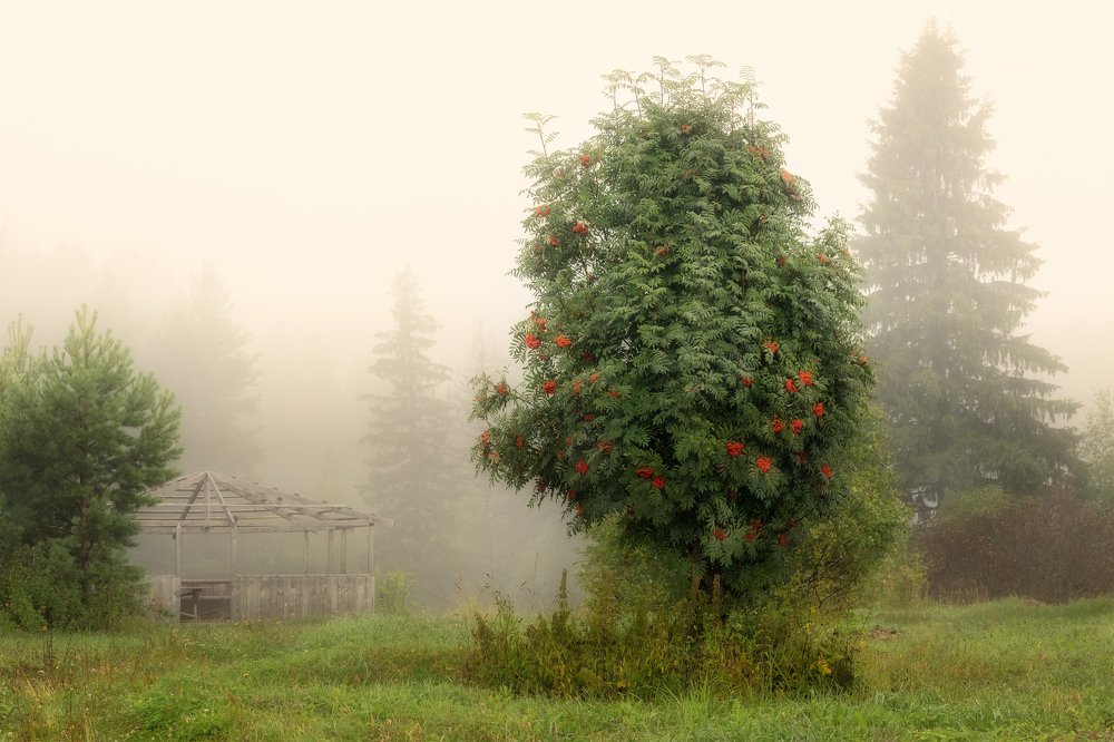 Photograph by Вадим Смирнов