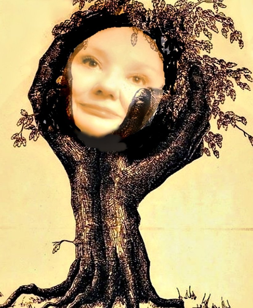 Your leaves, forest, sister Will return to you My youth, forest, o, sister Will never return