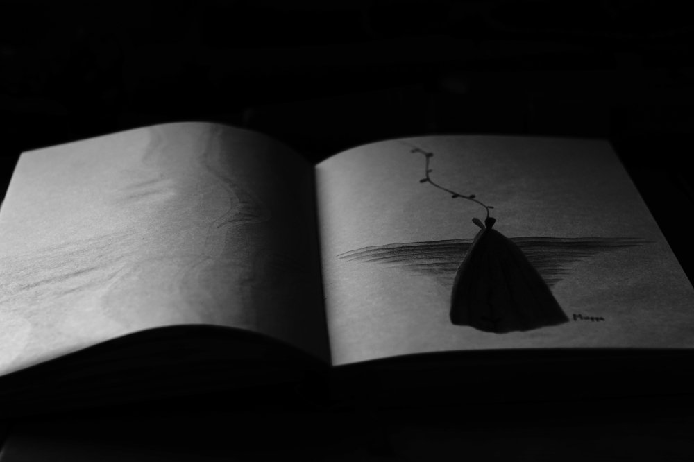 Книга рисунков