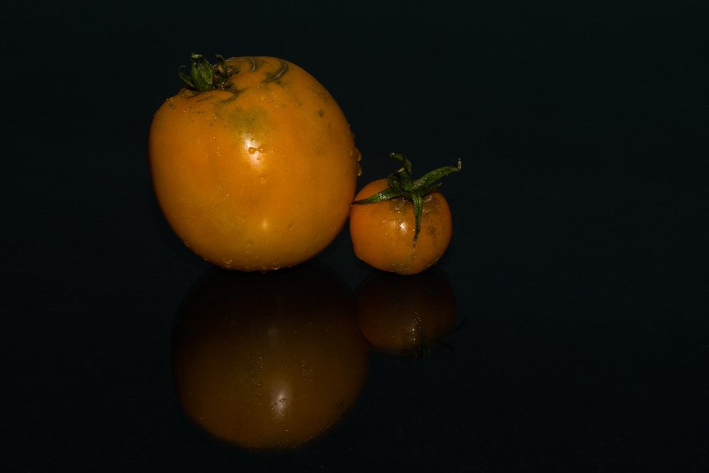 Желтый праздник