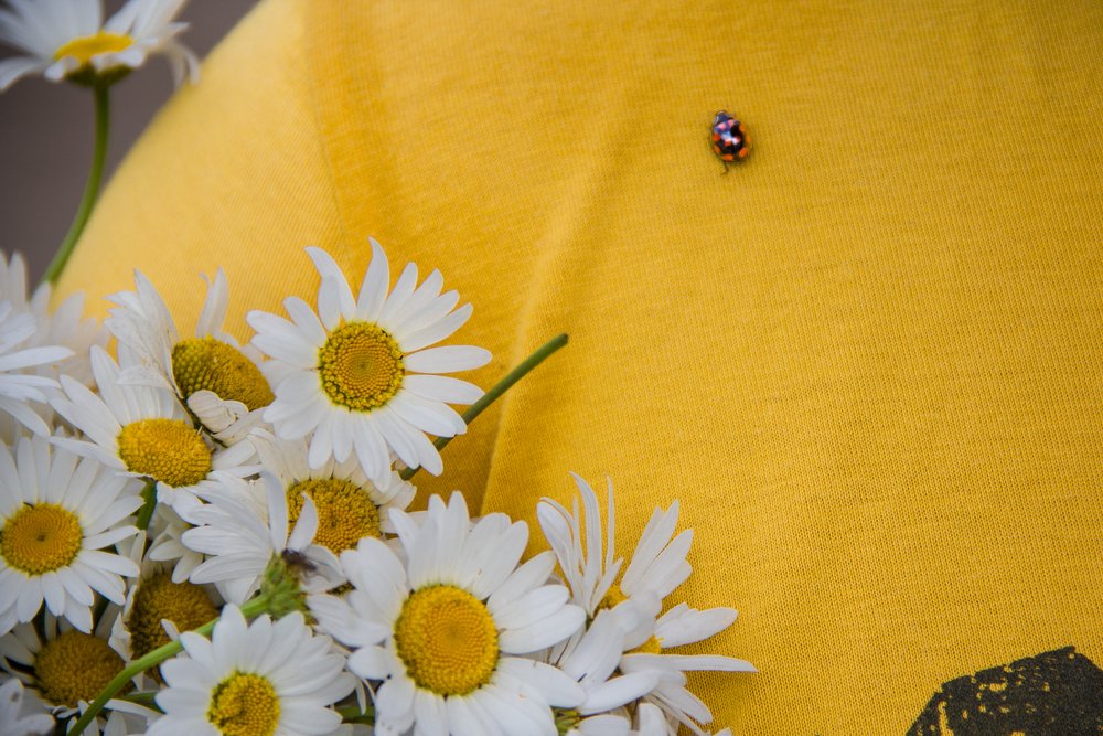 Photograph by Александр Лапшин