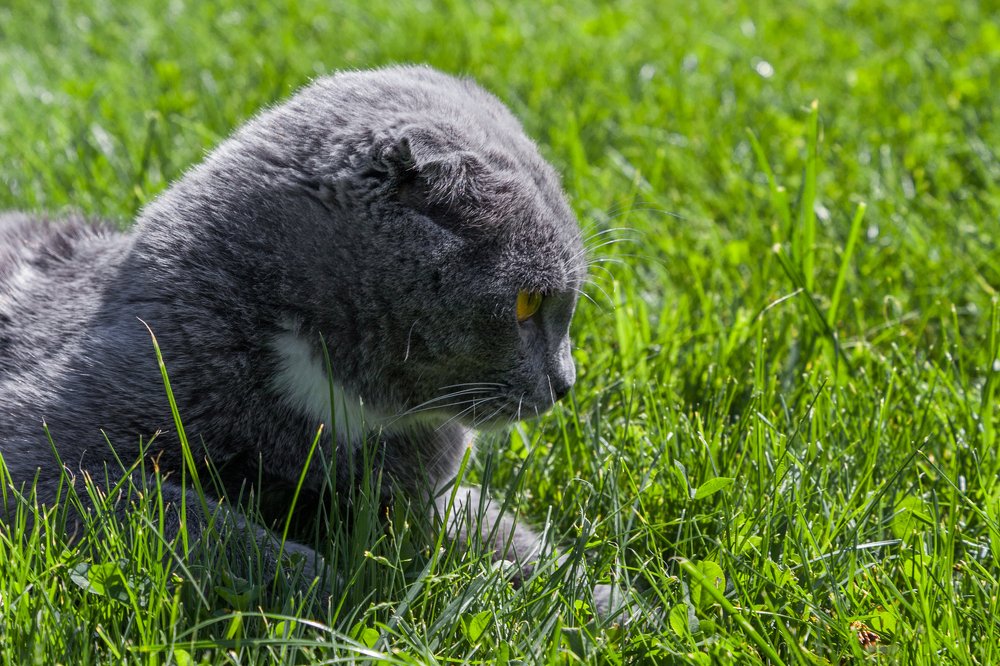 Photograph by Александр Лапшин