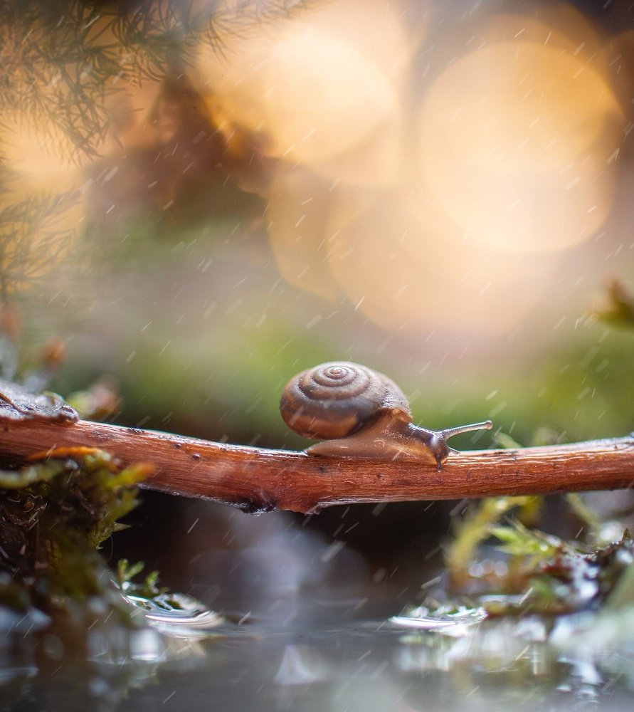 Photograph by Татьяна Пименкова