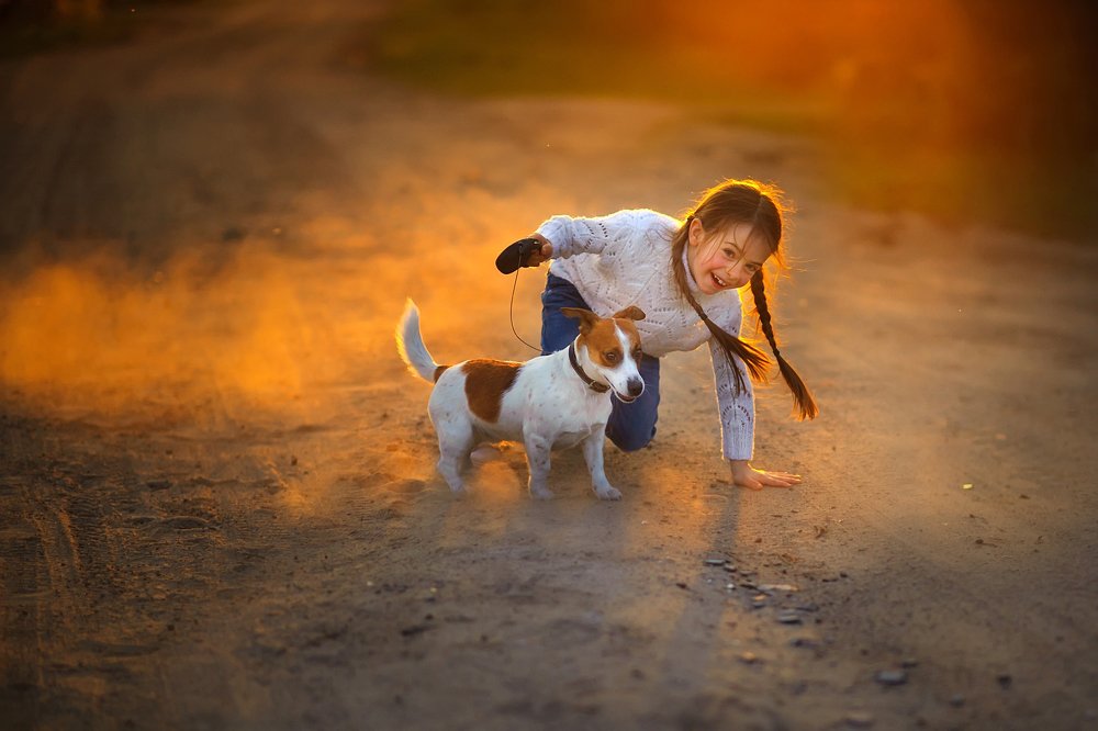 пыль, собака и девочка