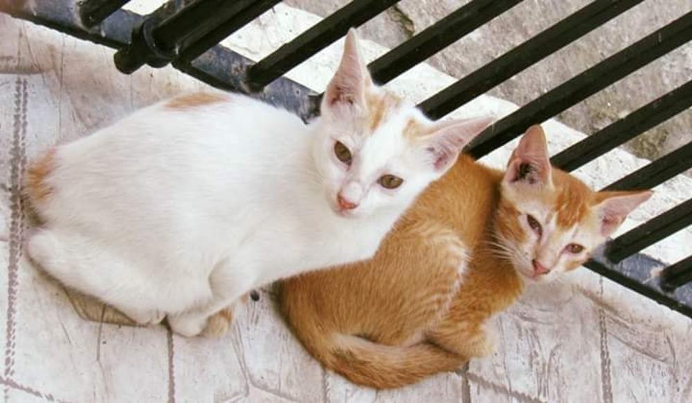 Photograph by SUSMITA SARDAR