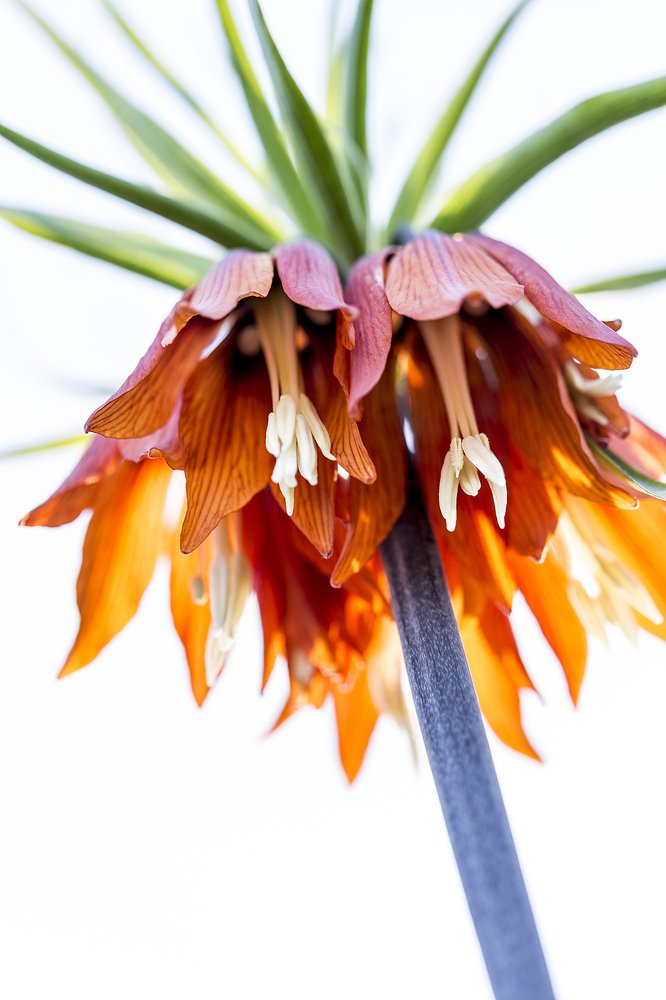 Photograph by Алексей Пришвин