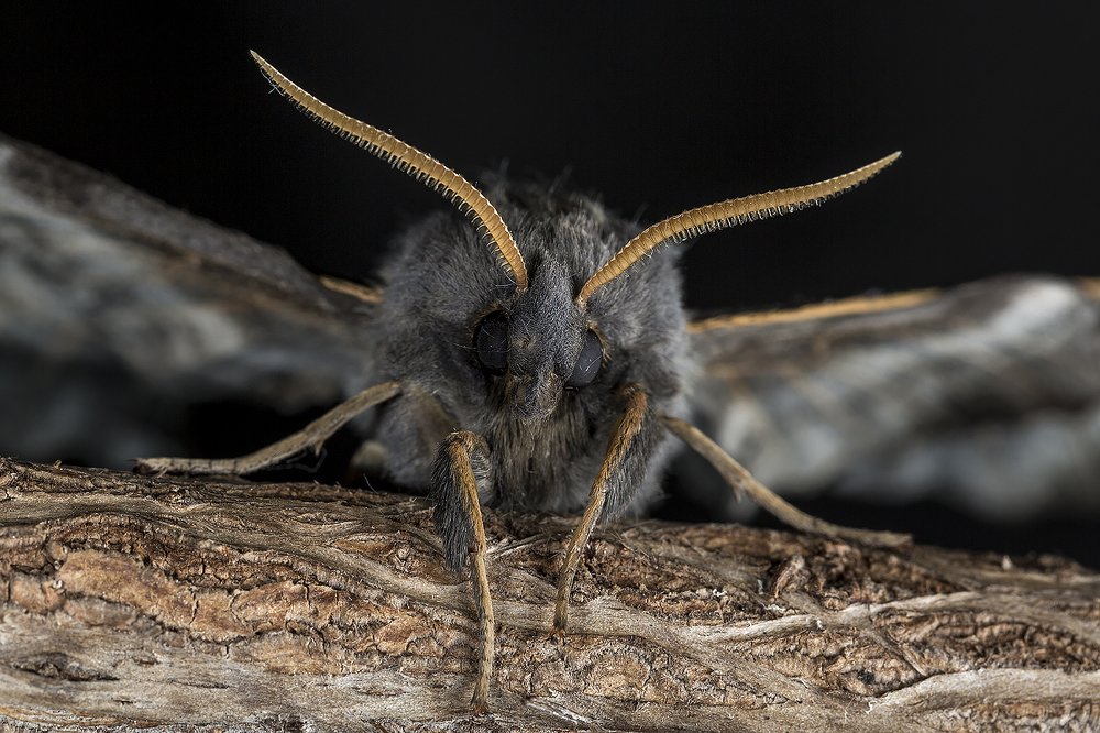 Photograph by Алексей Пришвин