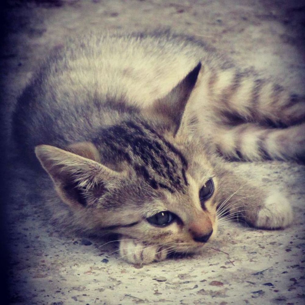 Photograph by SUSMITA SARDAR