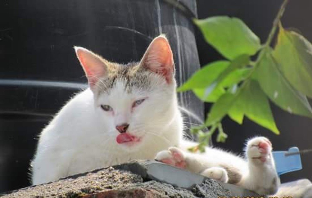 Photograph by SUSMITA SARDAR