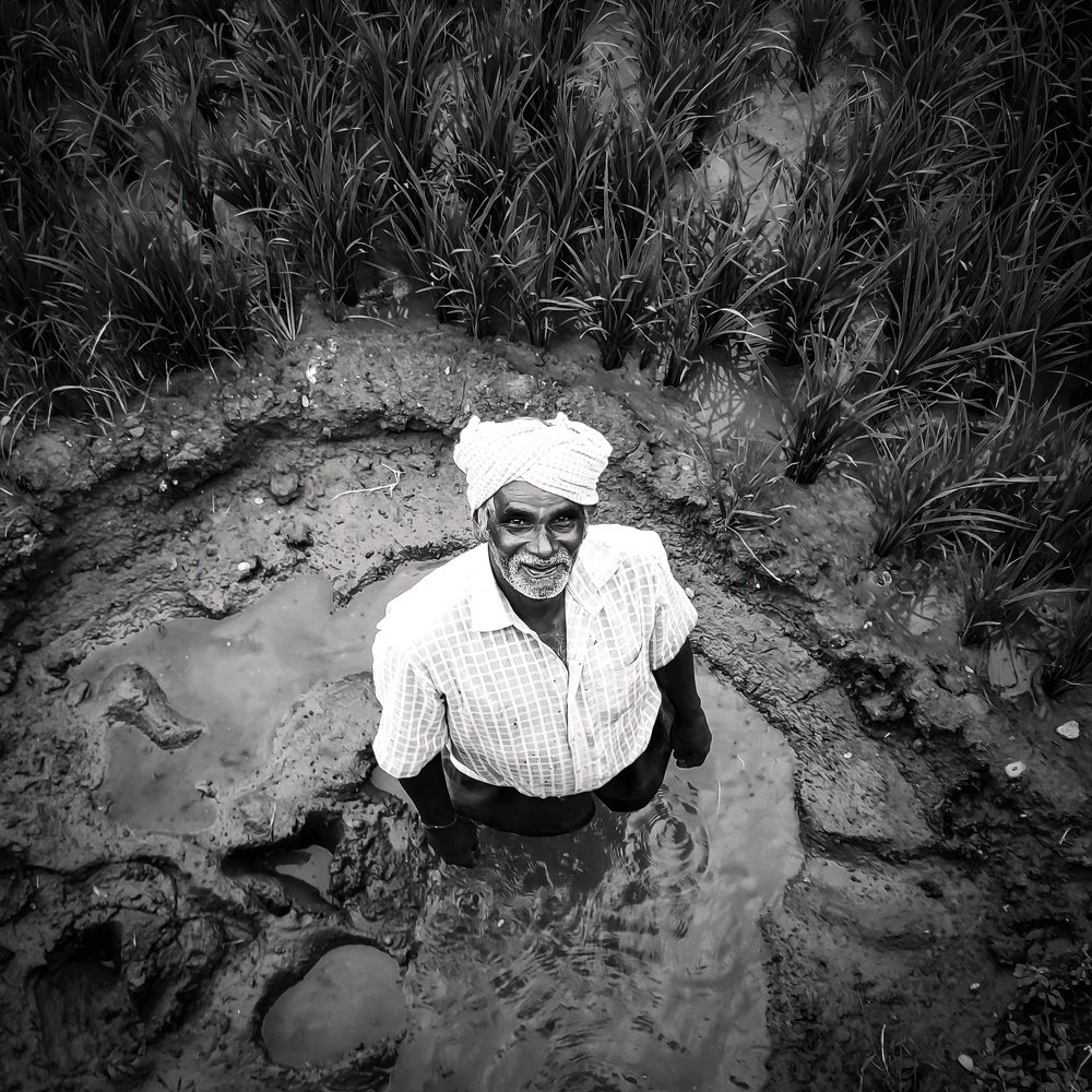 Фотография автора Mahesh babu Pitani