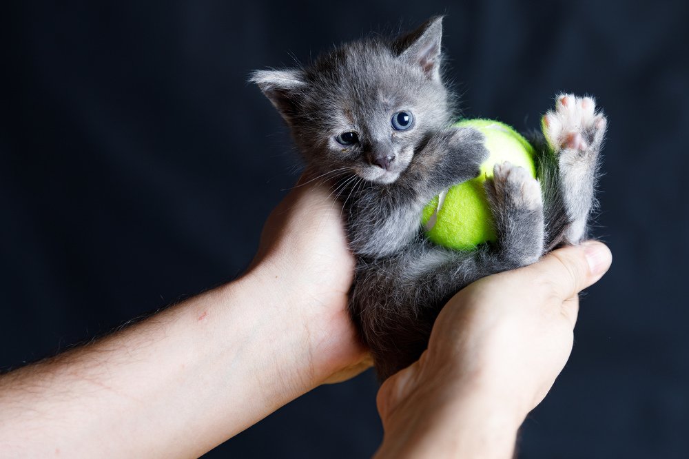 Photograph by Андрей Богданов