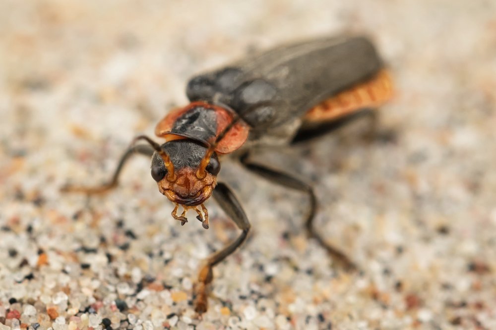 Photograph by Марина Хилько