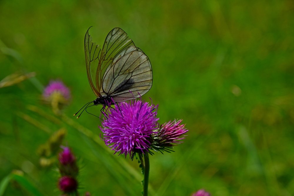 Photograph by Александр