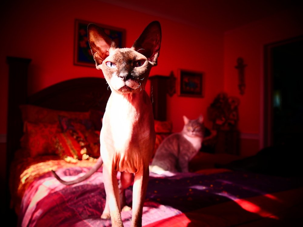 Фотография автора Silvija Janero