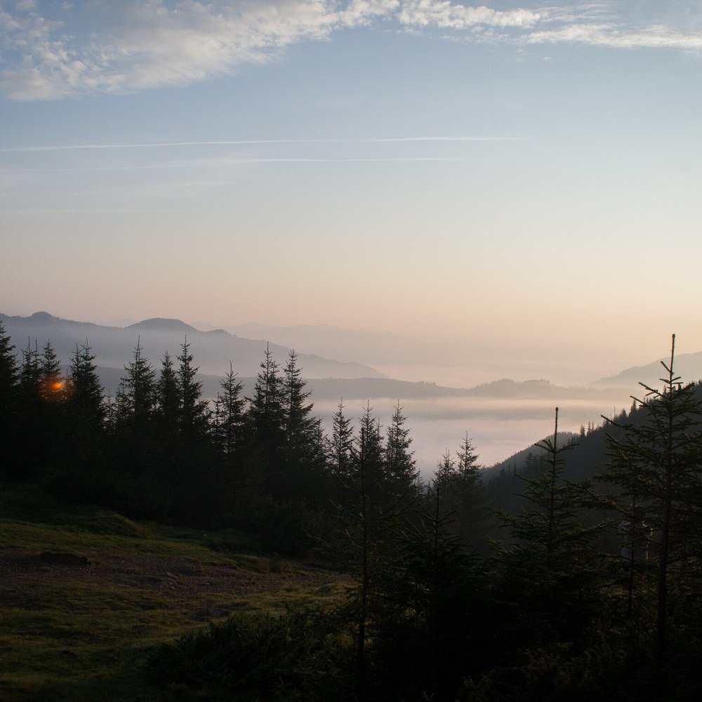 Photograph by Ілля