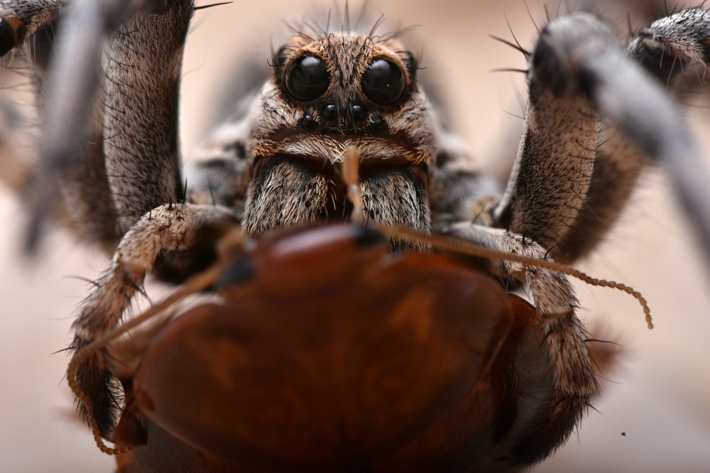 Photograph by Marek Velechovský