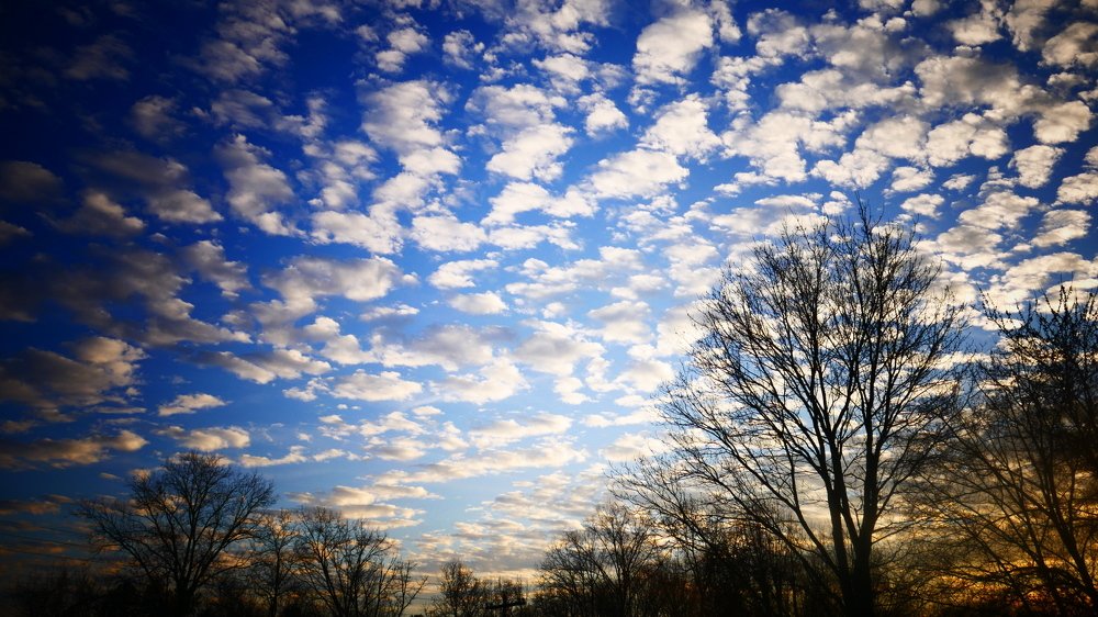 Фотография автора Silvija Janero