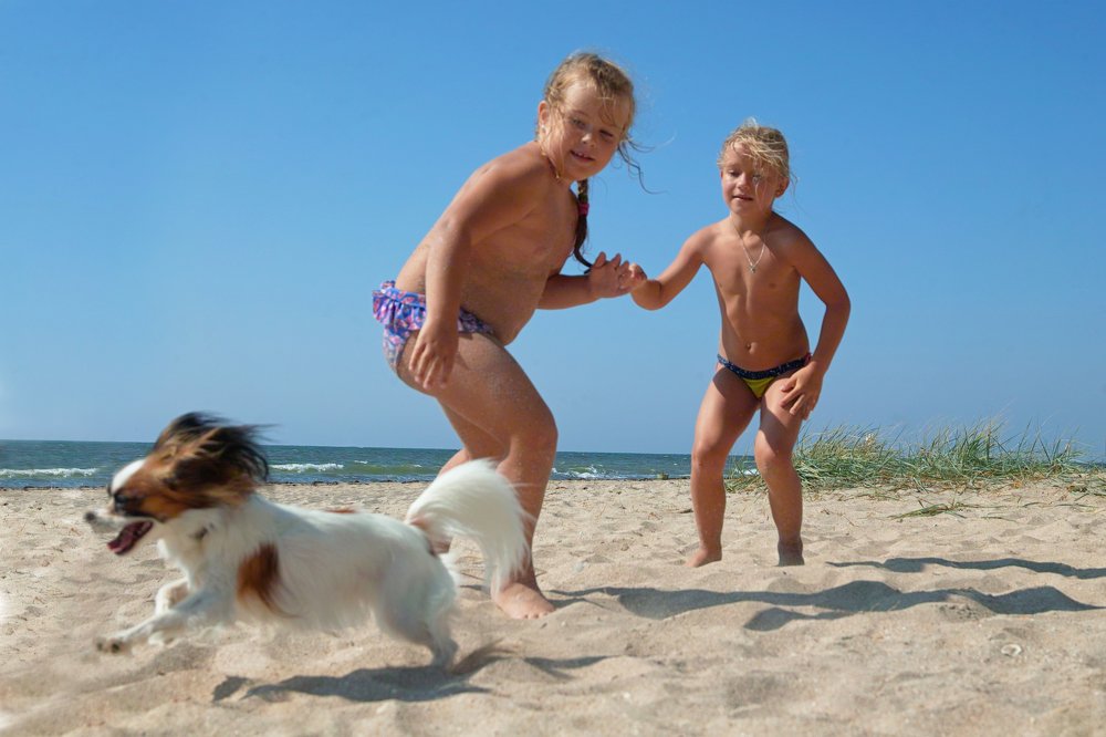 Photograph by Дмитрий Цыпляев