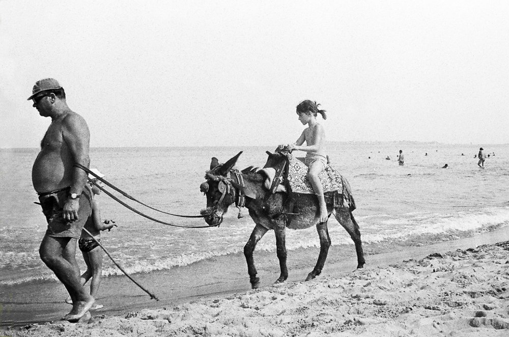 Photograph by Мария Самоловова