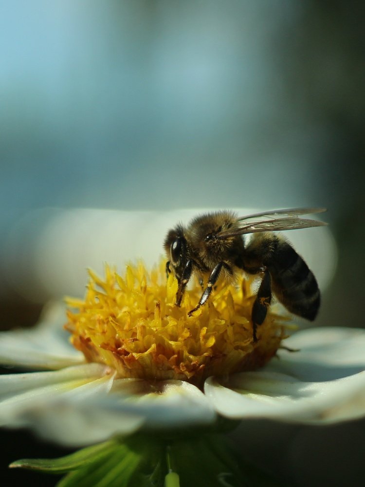 Photograph by Светлана Богомолова