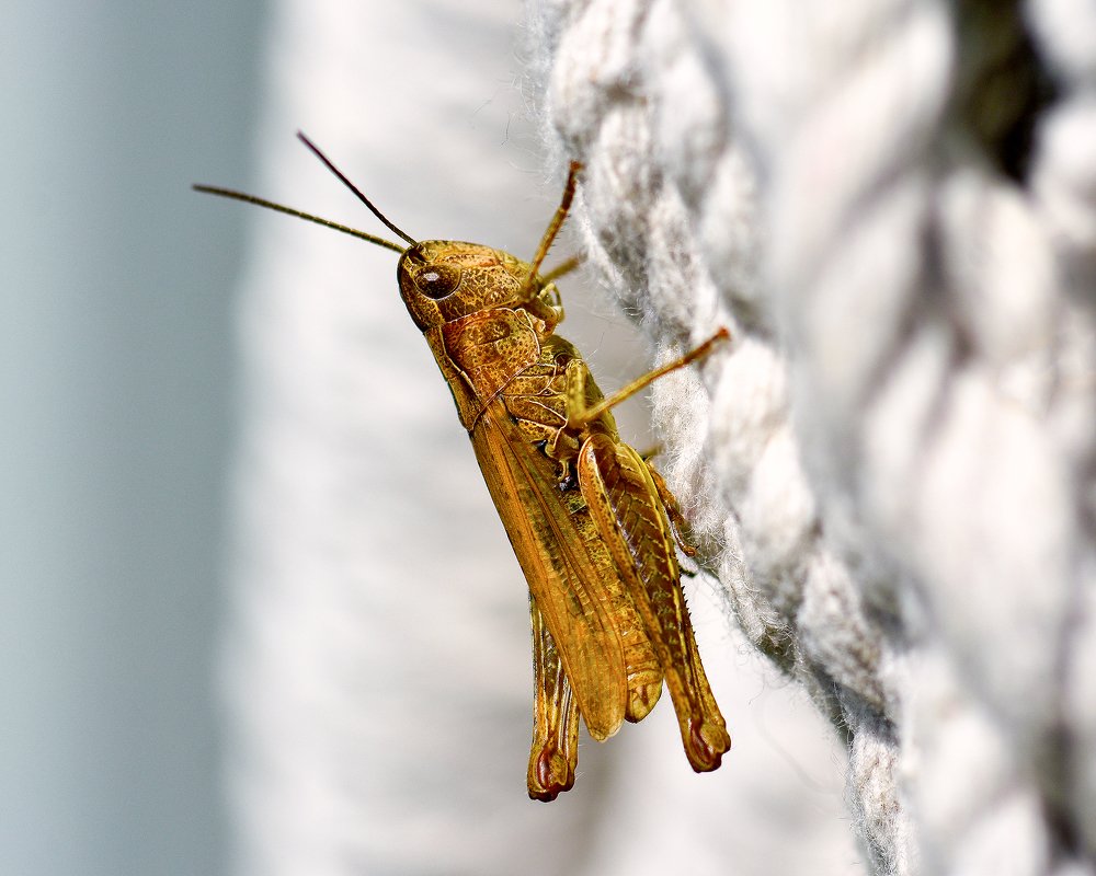 Photograph by Ольга Никулина