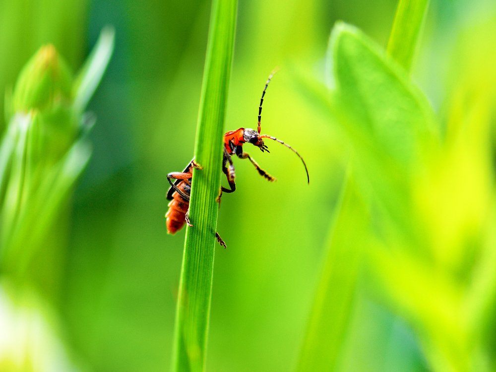Photograph by Ольга Никулина