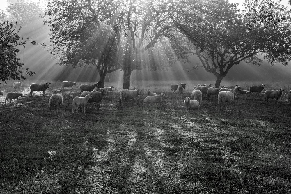 Photograph by Carmen Vich