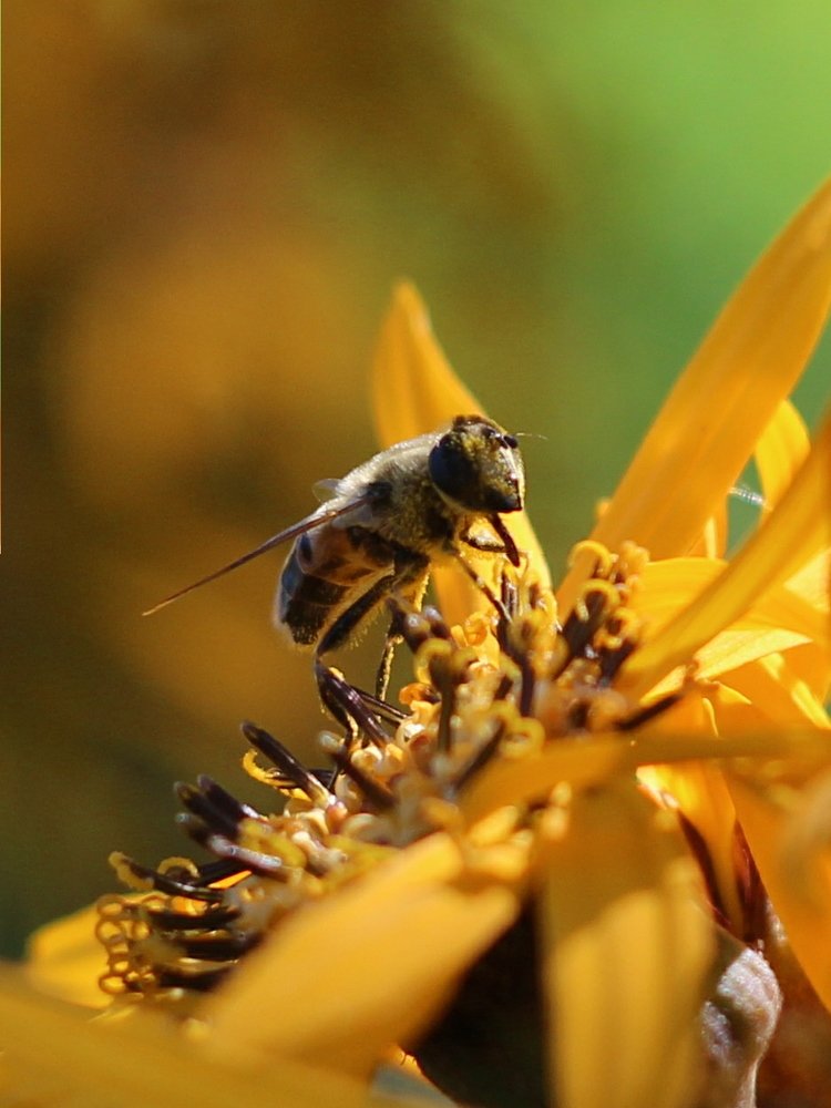 Photograph by Светлана Богомолова