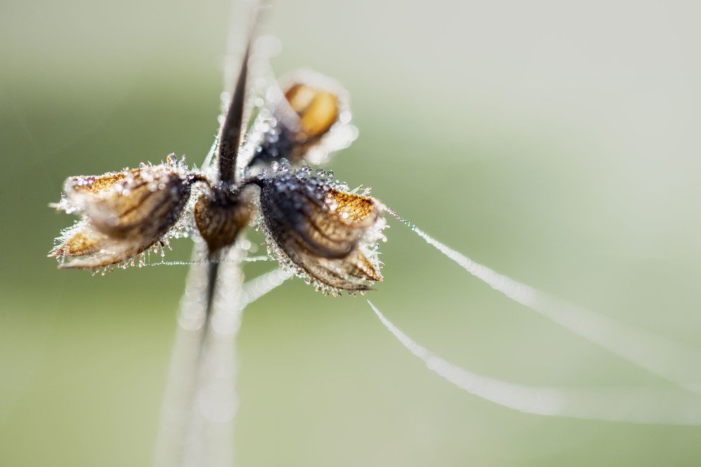 Photograph by Carmen Vich