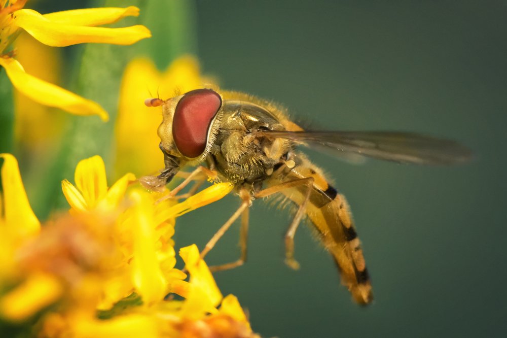 Photograph by Марина Хилько