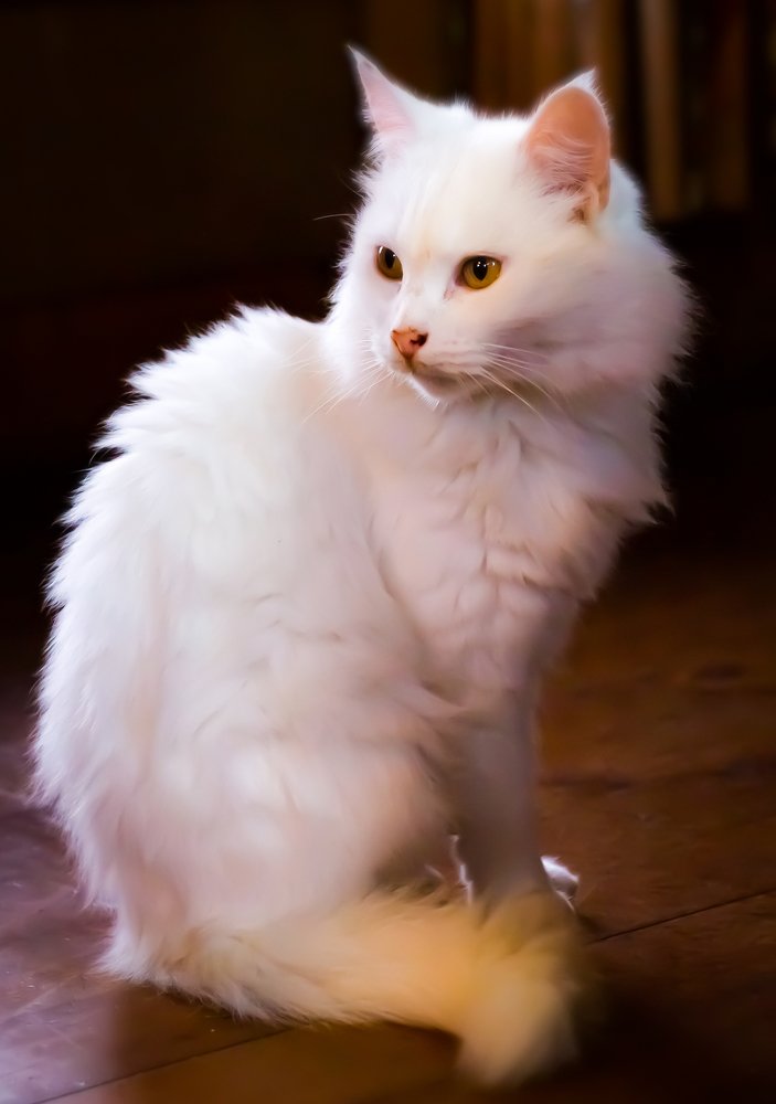 Photograph by Constanza Villarroel