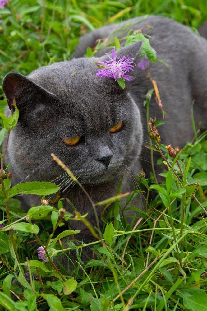 Фотография автора Оксана Белозерская