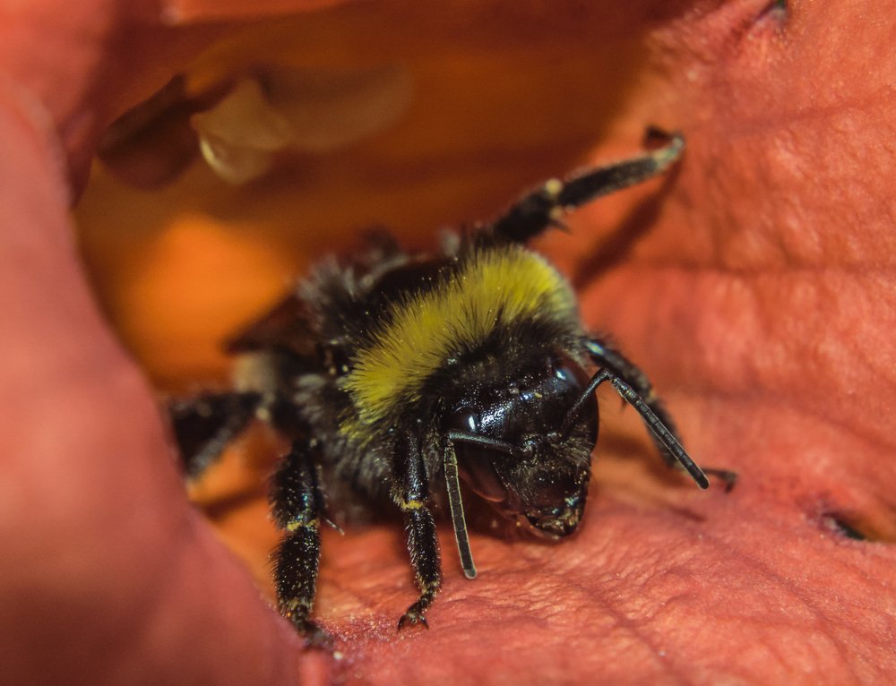 Photograph by Сергей Нестеров