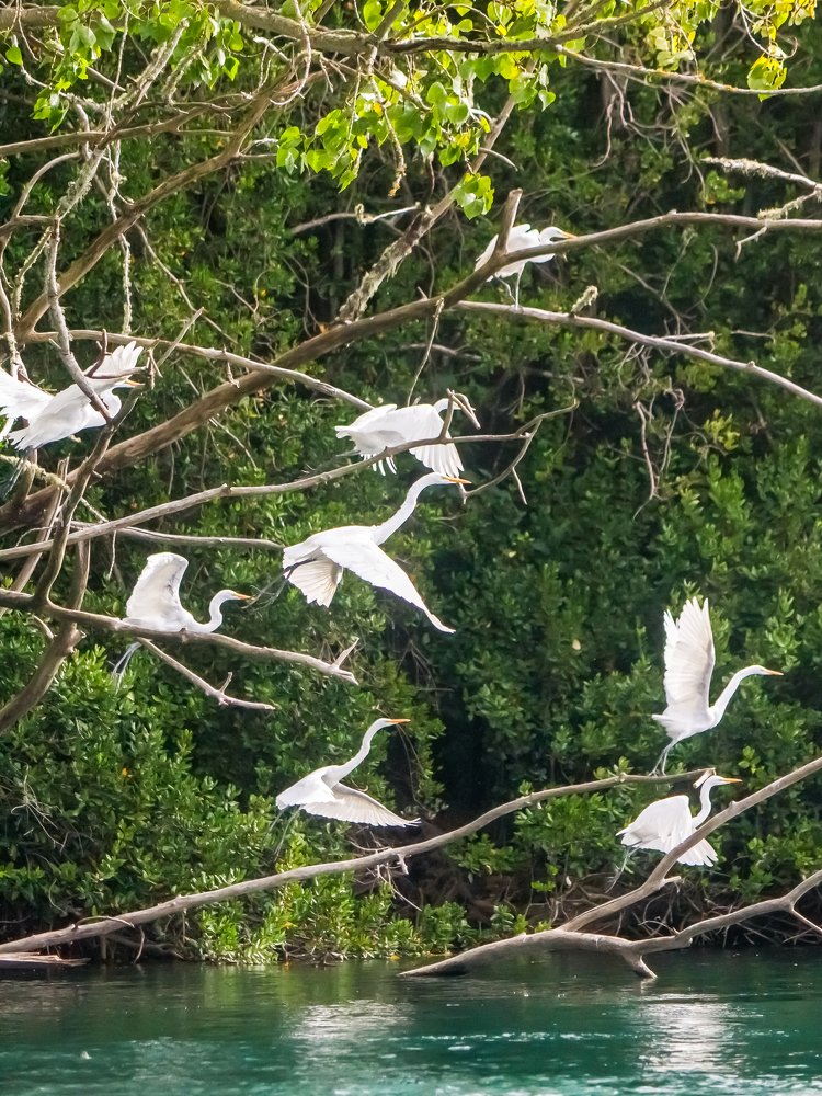 Photograph by Constanza Villarroel