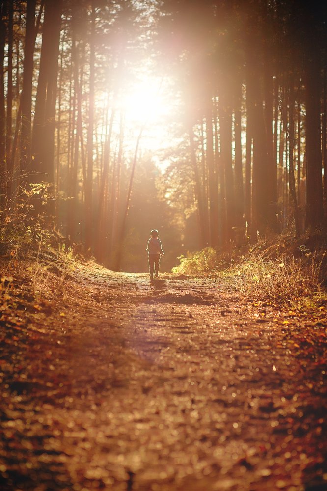 Photograph by Дарья Белякова