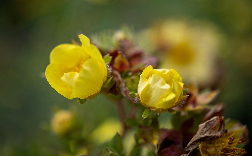 Photograph by Юрий Чернов