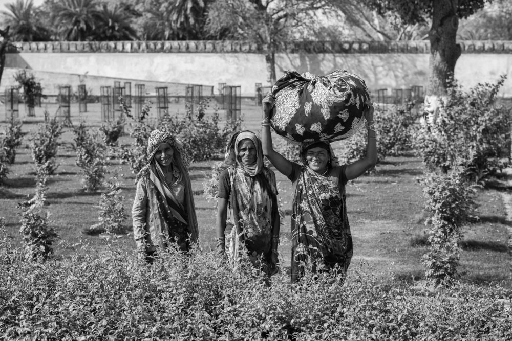 Фотография автора Сергей Миронов