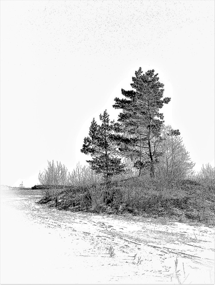 Photograph by Владимир Шнип