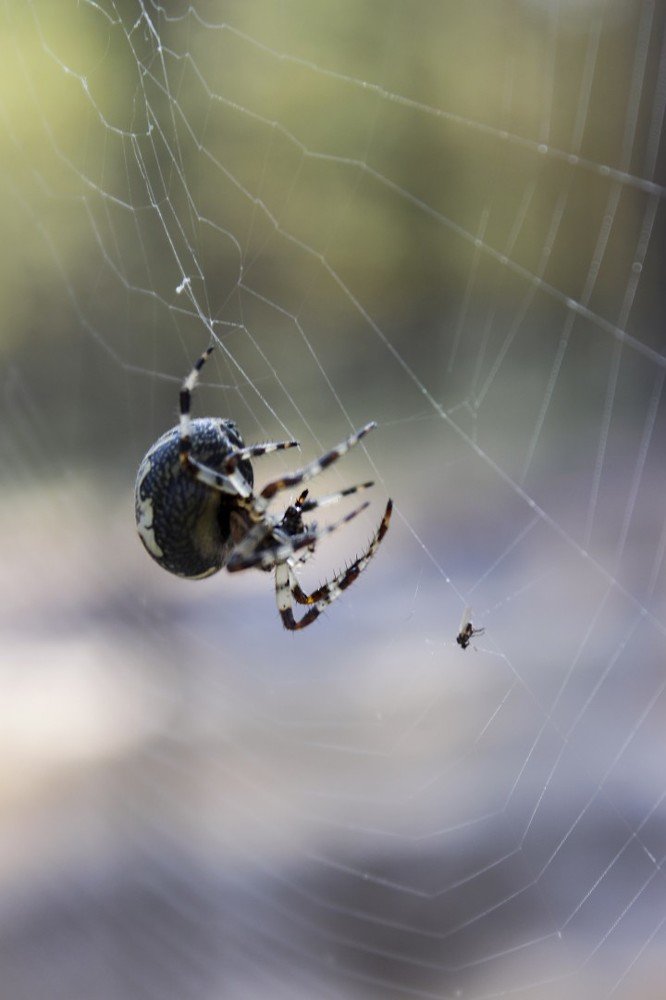 Photograph by Юсупова Елена