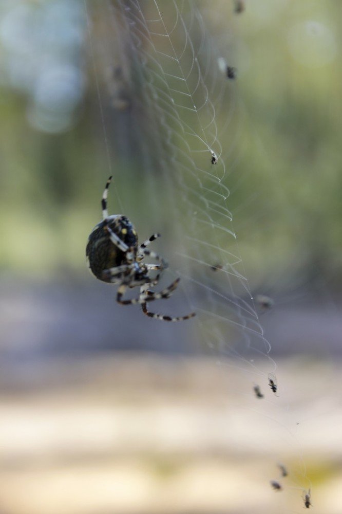 Photograph by Юсупова Елена