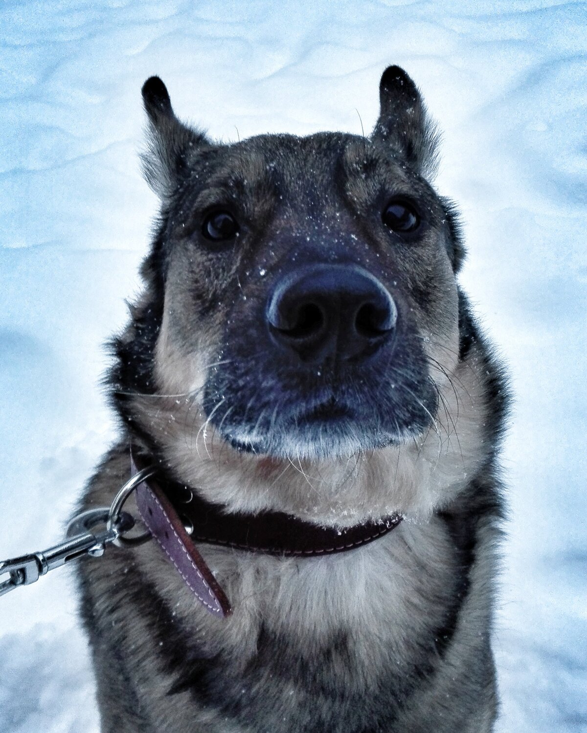 Photo #3504885