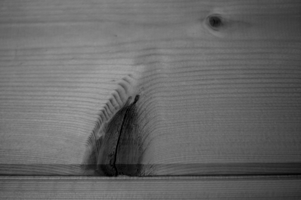 Photograph by Анастасия Мирра