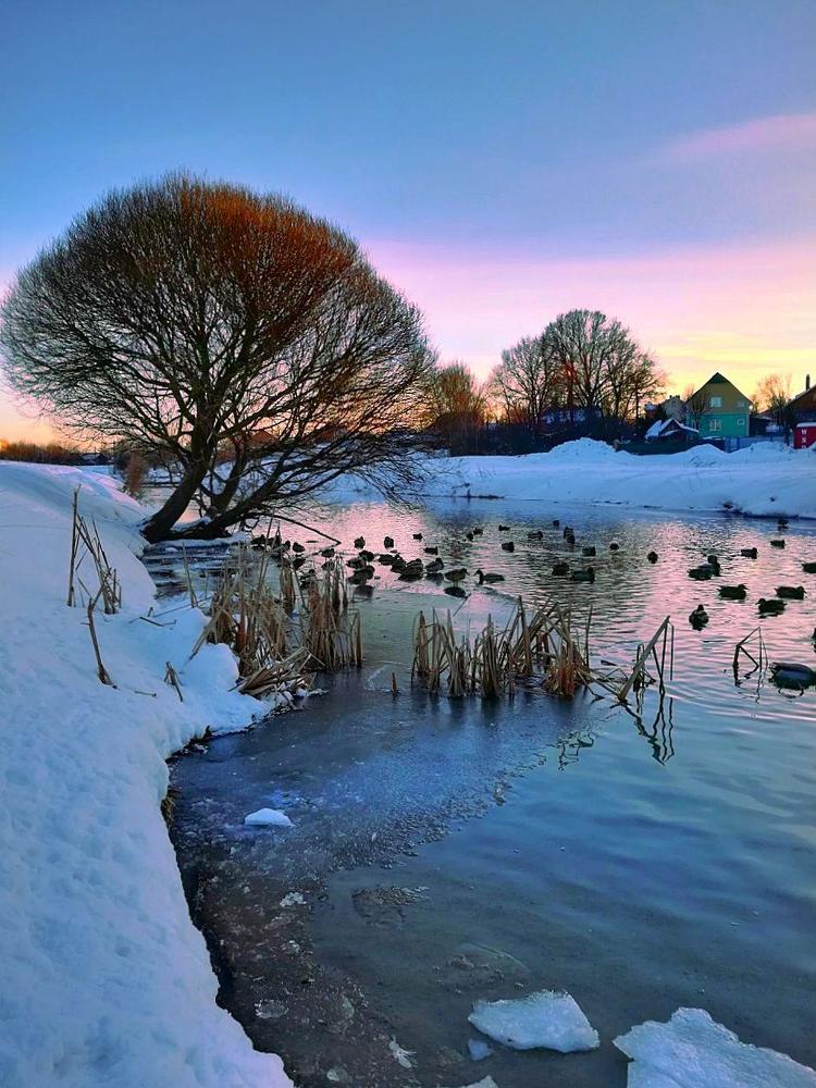 Розовый закат