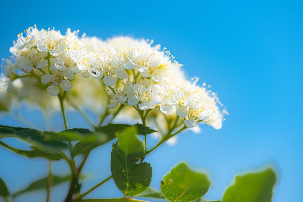 Photograph by Кадырова Марина