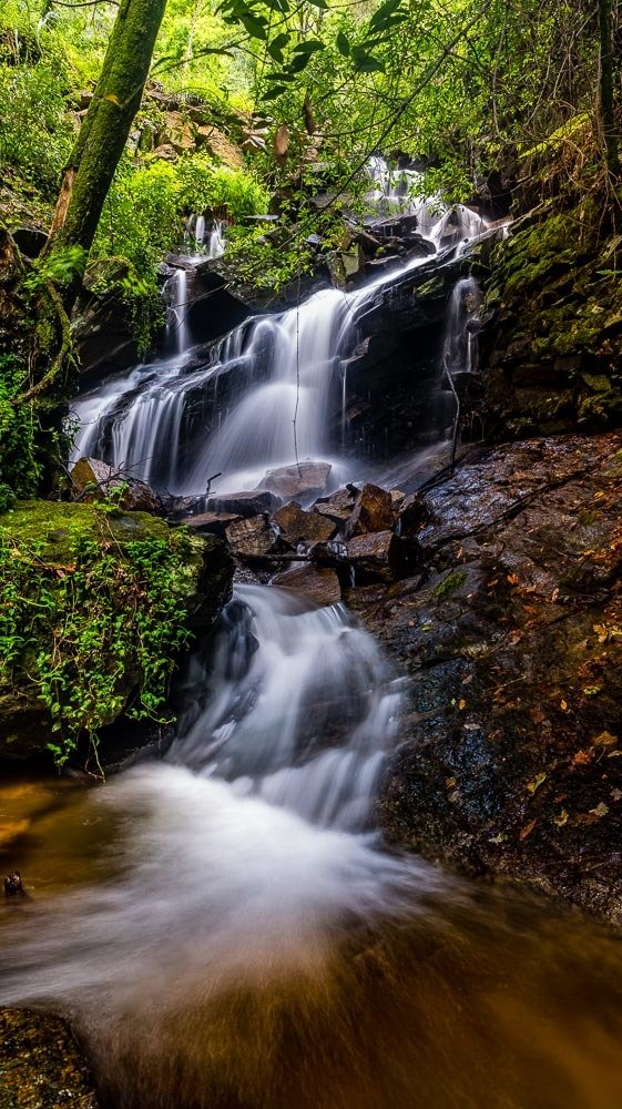 Photograph by António Vieira