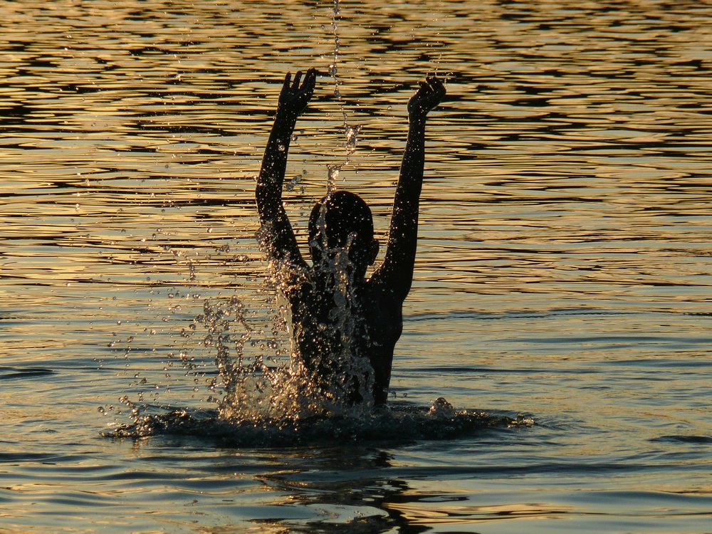 Летние радости