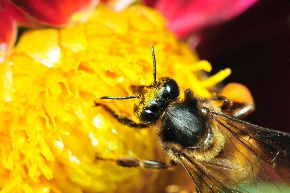 Photograph by Preet saluja